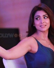 Sexy Shriya Saran Hot Photos