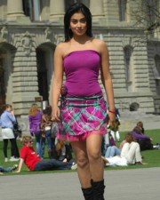 Sexy Shriya Saran In Don Seenu Movie Stills