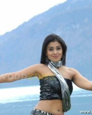 Sexy Shriya Saran In Don Seenu Movie Stills