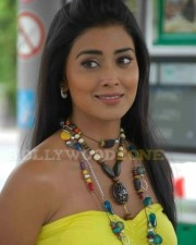 Sexy Shriya Saran In Don Seenu Movie Stills