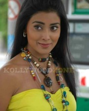 Sexy Shriya Saran In Don Seenu Movie Stills