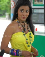 Sexy Shriya Saran In Don Seenu Movie Stills