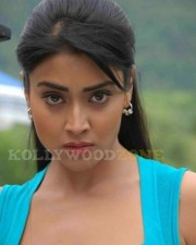 Sexy Shriya Saran In Don Seenu Movie Stills