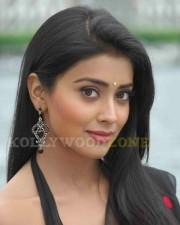 Sexy Shriya Saran In Don Seenu Movie Stills