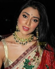 Sexy Shriya Saran In Red Saree Photos