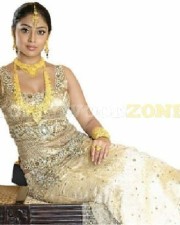 Sexy Shriya Saran Stills