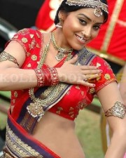 Sexy Shriya Saran Stills