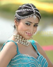 Sexy Shriya Saran Stills