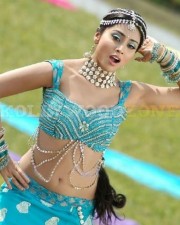 Sexy Shriya Saran Stills