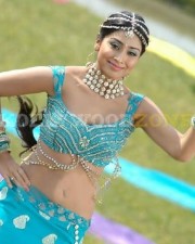 Sexy Shriya Saran Stills