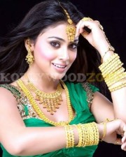 Sexy Shriya Saran Stills