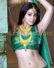 Sexy Shriya Saran Stills