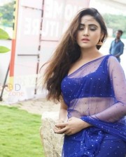 Sexy Sony Charishta Hot Spicy Saree Photos