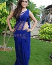 Sexy Sony Charishta Hot Spicy Saree Photos