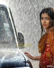 Shriya In Kutty Movie