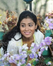 Shriya In Kutty Movie