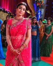 Shriya Photos