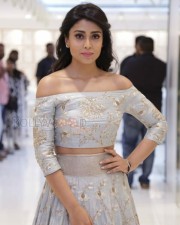 Shriya Saran At The Legend New Saravana Stores Inauguration Photos