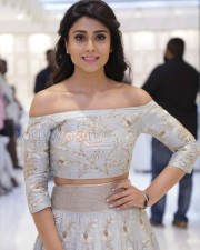 Shriya Saran At The Legend New Saravana Stores Inauguration Photos