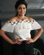 Shriya Saran At Veera Bhoga Vasantha Rayalu Trailer Launch Photos