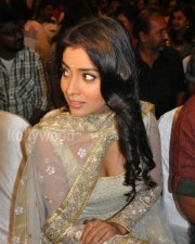 Shriya Saran Deep Cleavage Picture