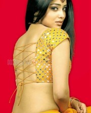 Shriya Saran Hot Photos