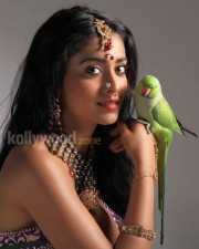 Shriya Saran Hot Pictures In Chandra Movie