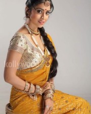 Shriya Saran Hot Pictures In Chandra Movie