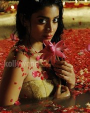 Shriya Saran Hot Pictures In Chandra Movie