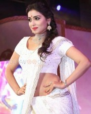 Shriya Saran Hot Saree Photos