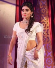 Shriya Saran Hot Saree Photos