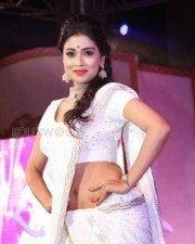 Shriya Saran Hot Saree Photos