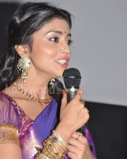 Shriya Saran In Traditional Saree Photos