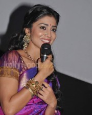 Shriya Saran In Traditional Saree Photos