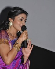 Shriya Saran In Traditional Saree Photos