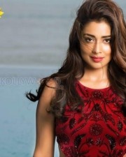 Shriya Saran My South Diva Photoshoot Pictures