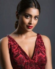 Shriya Saran My South Diva Pictureshoot Pictures