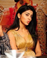 Shriya Saran Photos