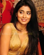 Shriya Saran Photos