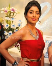 Shriya Saran Red Dress Photos