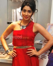 Shriya Saran Red Dress Photos