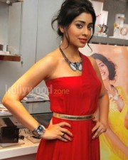 Shriya Saran Red Dress Photos