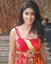 Shriya Saran Sexy Photoshoot Stills