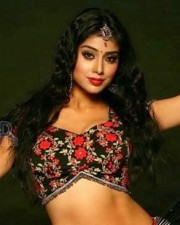 Shriya Saran Sexy Spicy Stills