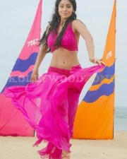 Shriya Sexy New Pictures