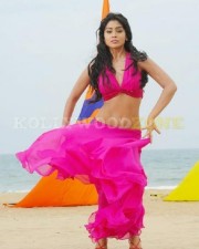 Shriya Sexy New Pictures