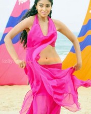 Shriya Spicy Pics