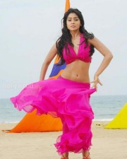 Shriya Spicy Pics