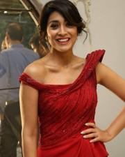 South Actress Shriya Saran New Stills