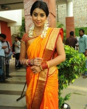 South Indian Heroine Shriya Pictures